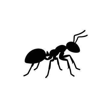 Black ant silhouette graphic showing detailed body segments and legs ideal for nature education infographics pest control logos or children science book projects.