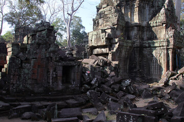 Fototapeta premium ruined khmer hindu and buddhist temple (ta prohm) in angkor in siem reap in cambodia 