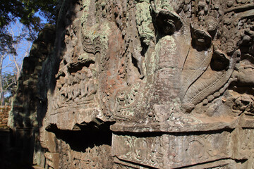 Obraz premium ruined khmer hindu and buddhist temple (ta prohm) in angkor in siem reap in cambodia 