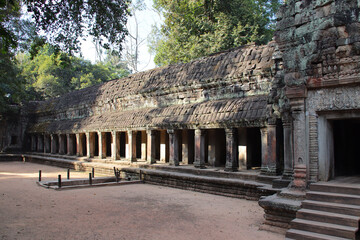 Fototapeta premium ruined khmer hindu and buddhist temple (ta prohm) in angkor in siem reap in cambodia 
