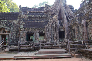 Fototapeta premium ruined khmer hindu and buddhist temple (ta prohm) in angkor in siem reap in cambodia 