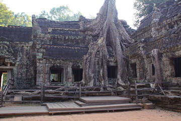 Obraz premium ruined khmer hindu and buddhist temple (ta prohm) in angkor in siem reap in cambodia 
