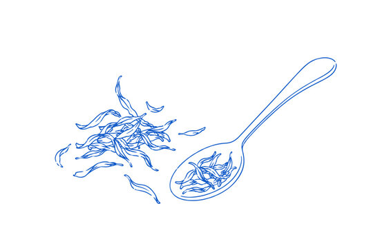 Loose Tea Leaves and Spoon Blue Line Art Doodle Vector Illustration