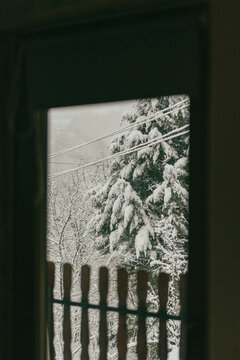 Winter snowfall and snowy cypress tree view through a cozy country house window.