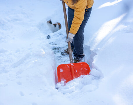 Close up of hands in gloves shoveling snow from a path with a shovel.