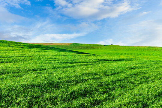 beautiful view in a green farm field with fresh spring grass on rural hills with amazing sunset or sunrise cloudy sky on background of agricultural landscape