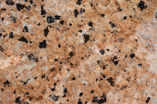 Fondo de granito natural rosado con patr&oacute;n mineral moteado,  homog&eacute;neo y reconocible que puede utilizarse como fondo, recurso gr&aacute;fico o referencia de materiales naturales.