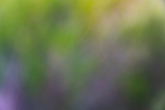 Fondo abstracto de bokeh verde y morado con desenfoque art&iacute;stico, para dise&ntilde;o gr&aacute;fico, presentaciones, publicidad, p&aacute;ginas web y proyectos creativos gracias a su apariencia abstracta.
