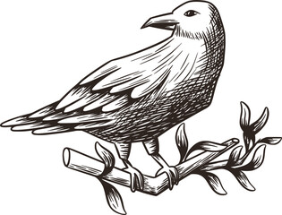 Fototapeta premium Raven Perched Branch