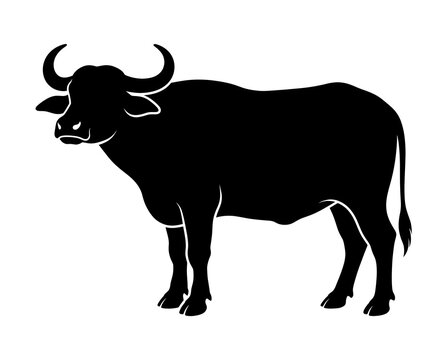traditional indian water buffalo standing in side profile as a clean black silhouette vector for dairy farming livestock agriculture veterinary and educational design