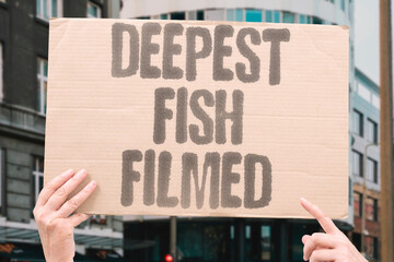 "Deepest fish filmed" Cameras capture creature living miles down. FISH. DEEPEST. OCEAN. CAMERA. TRENCH. © AndriiKoval