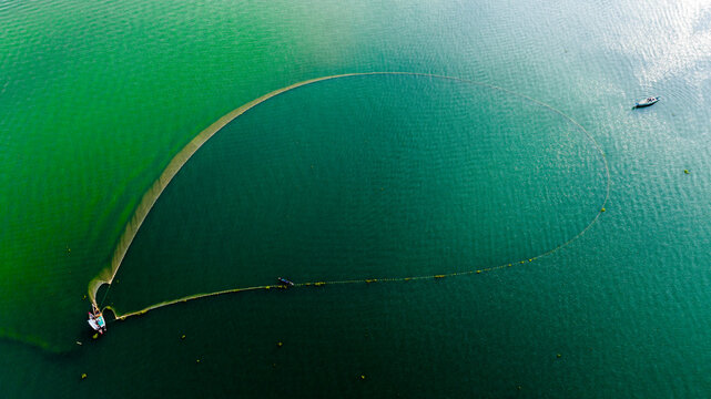 Aerial view of a fisherman using a large circular net to catch fish in the calm green waters of Kaptai Lake in Rangamati, Chittagong Division, Bangladesh.