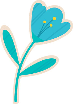 Blue Tulip Flower 