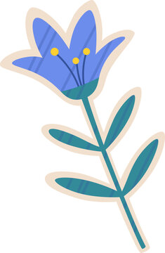 Violet Bell Flower 