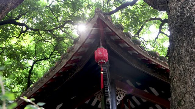 Traditional Chinese Temple Roof with Red Lantern and Green Trees