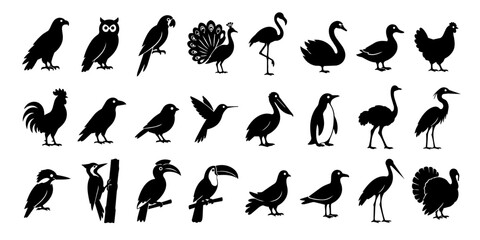 Obraz premium Bird species black silhouette collection