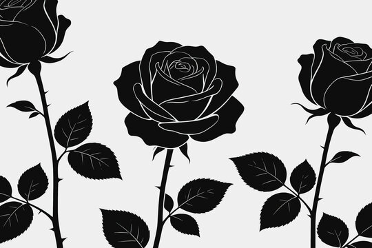 Black Rose Silhouette Illustration On White Background