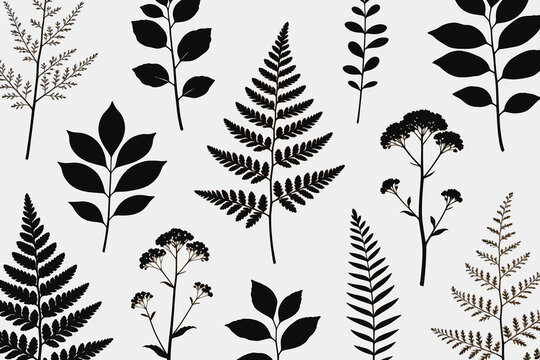 Various Dark Brown Botanical Silhouettes on White Background
