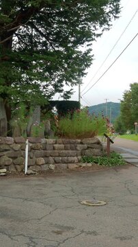 Vertical video footage of a group of stone monuments in the Yamaguchi district of Tono City, Iwate, Japan. The camera slowly slides from right to left, moving from the surrounding rural mountain scene