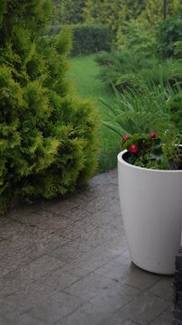 Rain falling on paved garden path next to large white planter and lush green foliage, creating wet and reflective surface.