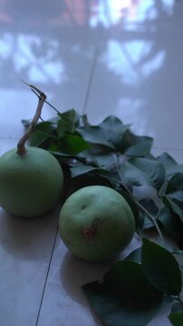 Bael Fruit &ndash; Aegle Marmelos, Traditional Indian Wood Apple Fruit with Hard Shell, Aromatic Pulp, Natural Nutrition and Ayurvedic Heritage