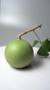 Bael Fruit &ndash; Aegle Marmelos, Traditional Indian Wood Apple Fruit with Hard Shell, Aromatic Pulp, Natural Nutrition and Ayurvedic Heritage