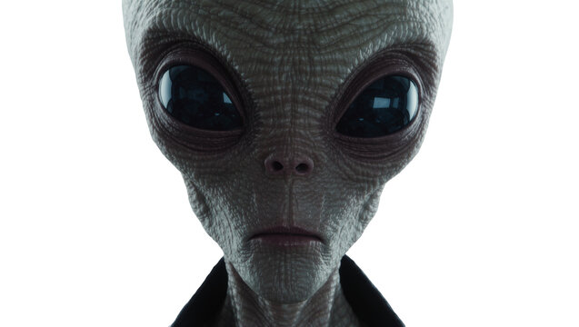 Close-up portrait of a grey alien head with large black eyes, isolated on transparent background