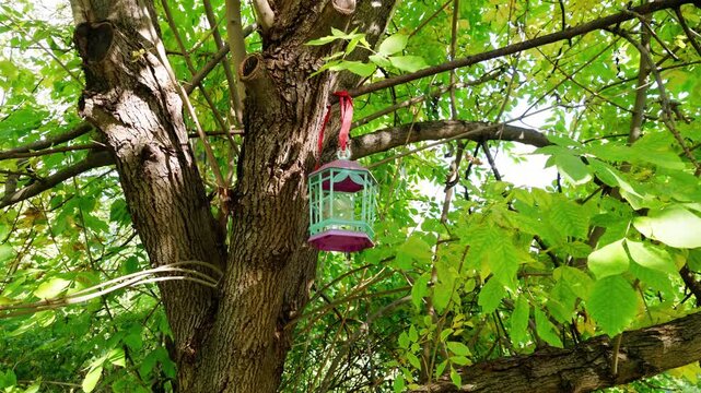 Colorful plastic bird feeder with a red ribbon hangs from a tree among green leaves.