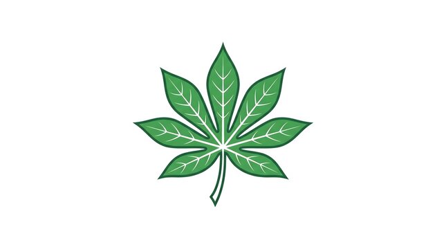 Vector illustration of a green cassava leaf with white veins isolated on a white background, useful for agriculture, botany, or food concept