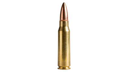 Single brass rifle cartridge with copper bullet tip, isolated on transparent background © Nina