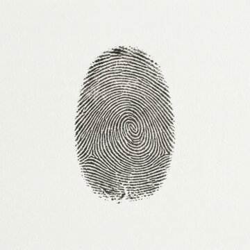 Fingerprint pattern unique identity close up macro view textured paper background crime investigation biometric identification concept