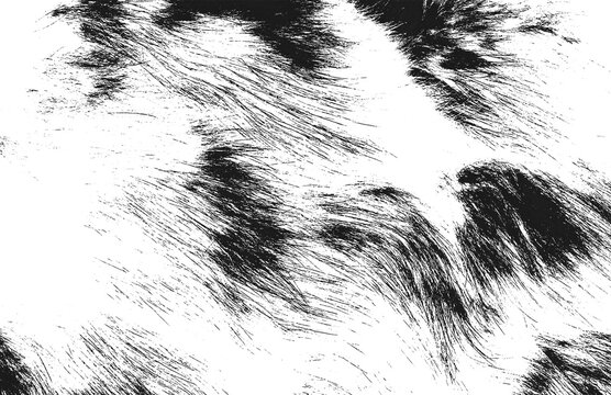 Black and White Grunge Hair Fur Texture Vector Illustration
