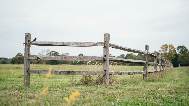 Old rusty wooden gate in a grassy field