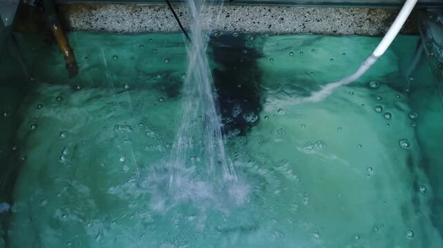 Overhead view of water flowing into a tank, creating ripples and numerous bubbles on the surface, with visible pipes and a gravel substrate