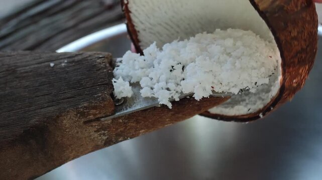 Traditional way, coconut grater and grate coconut into container,coconut milk.