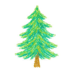 Obraz premium PNG Crayon-drawn evergreen tree illustration.