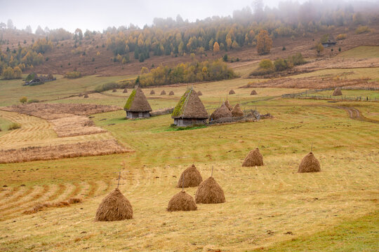 View of traditional haystacks and wooden huts in a rural landscape with autumn trees and misty hills in Alba County, Romania.