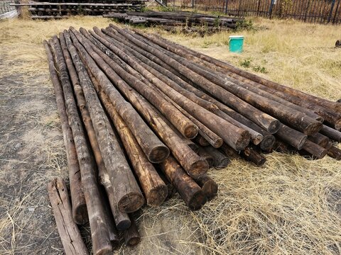 View of stacked wooden poles and logs in a timber yard, showcasing natural wood textures and industrial storage in Pretoria, Gauteng, South Africa.