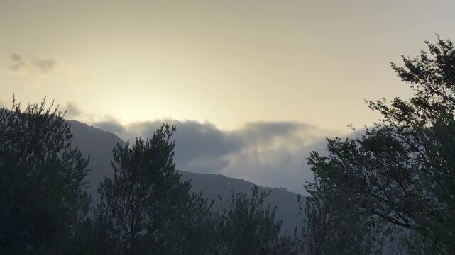 A beautiful view on mountains cloudy sunrise, Montenegro. Golden sunlight emerges behind cloud covered mountain ridges and silhouetted trees in tranquil natural landscape at dawn