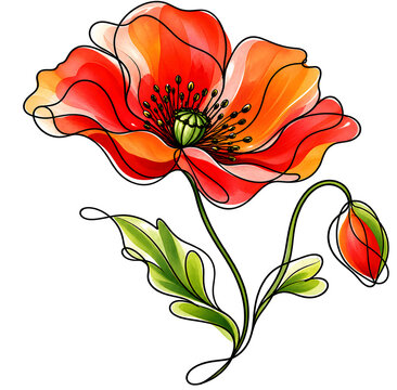 Vibrant Red Poppy Flower Botanical Illustration