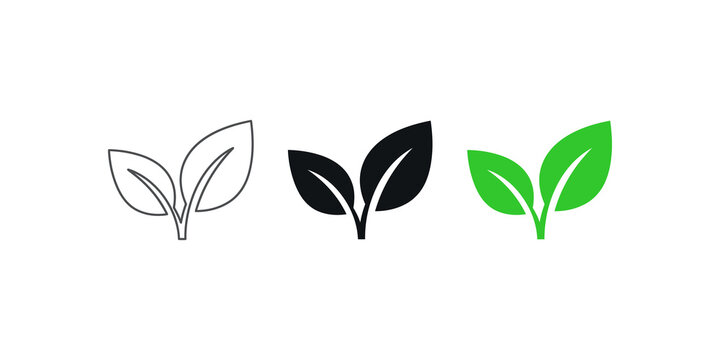 Two leaves icon with green eco logo design, nature organic isolated illustration for vegetarian and vegan product branding.
