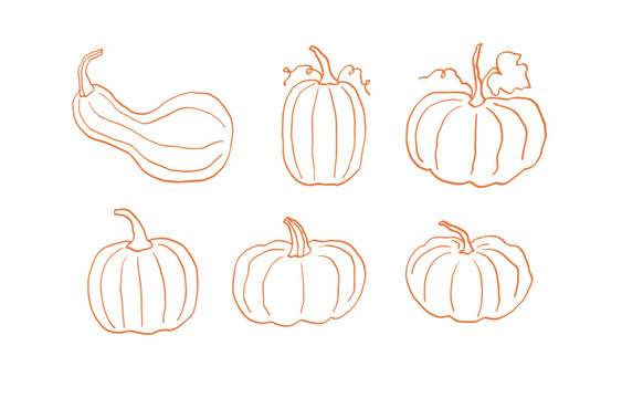 Cute cartoon pumpkins - vector lllustration. Hand drawn doodle print