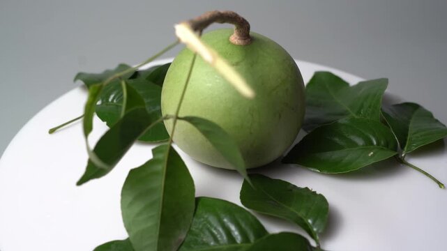 Bael Fruit &ndash; Aegle Marmelos, Traditional Indian Wood Apple Fruit with Hard Shell, Aromatic Pulp, Natural Nutrition and Ayurvedic Heritage