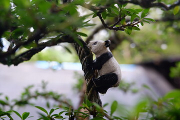 Creative macro shot of a small panda bear figurine climbing up a twisted tree branch surrounded by vibrant green leaves in a bonsai garden © thomas