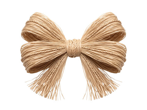 Decorative Raffia Bow Isolated