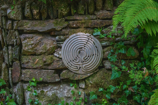 View of a circular labyrinth carving embedded in a mossy stone wall surrounded by lush green ferns and ivy, Lansallos, England, United Kingdom.