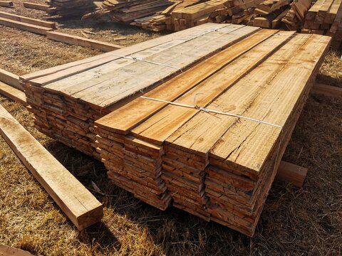 View of neatly stacked wooden planks and poles in a timber yard, showcasing natural wood textures and organized lumber preparation in Pretoria, Gauteng, South Africa.