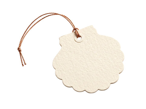 Blank Seashell Shaped Gift Tag