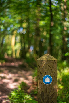 View of the Glynn Path marker post with a blue directional sign in the lush Golitha Falls National Nature Reserve in Liskeard, England, United Kingdom.