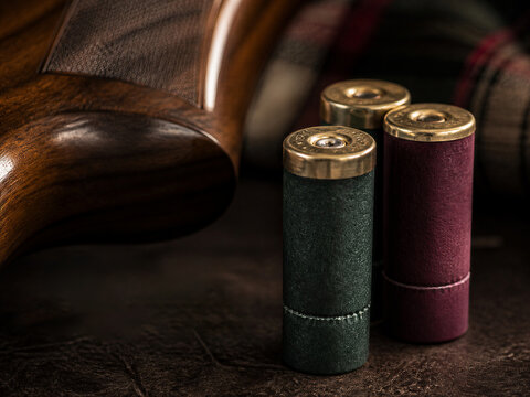Three upright shotgun cartridges beside polished wooden gun stock